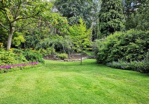 Optimiser l'expérience du jardin à Fontaine-les-Bassets